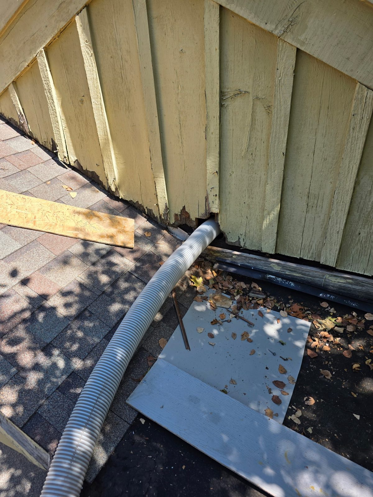 Chewed roofline siding entry point found during a wildlife inspection