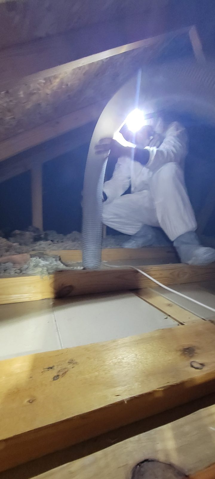 Wildlife Guys technician in protective suit removing attic insulation